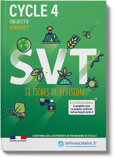 SVT Cycle 4 - fichier